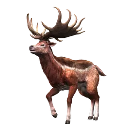 JWA PresKit Megaloceros