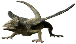 JWA PressKit Coelurosauravus