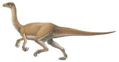 Segnosaurus