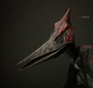 Pteranodon head study.