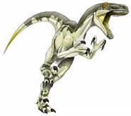 Dromaeosaurus