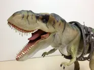 Le Thrasher sans muselière