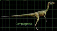 Compsognathus jp3