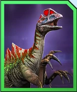 Diloracherius.png (137 KB)