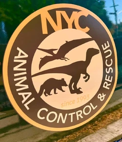 Jurassic-world--rebirth-set-photo-287532