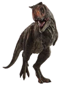 Carnotaurus