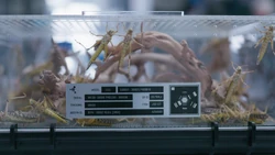 Vlcsnap-2024-07-29-11h20m58s110