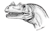 Cerato tumblr ne9jlouLrn1tp9utuo1 1280.jpg (158 kB)