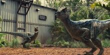 Jurassic world bluedelta by jd1680a-d9c81k9 (1).jpg