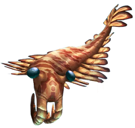 Anomalocaris JPB