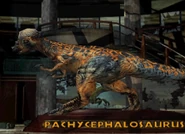 B95B7EDC-BDF6-42C0-A581-44595C8E1882.jpeg (737 KB) Alternative Skin