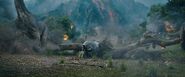 Herbivorous dinosaurs destroying a fallen tree in Jurassic World: Fallen Kingdom.