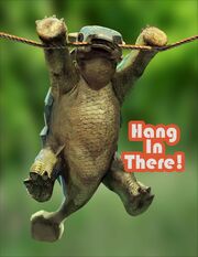 Hang in there