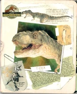 Skan0008.jpeg (522 КБ) Скан Степана Оглоткина