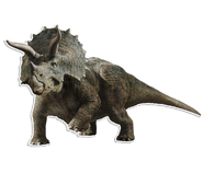 Triceratops