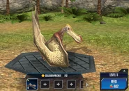 ColoborhynchusJWTG1.png (1,49 МБ) 11-20 уровень