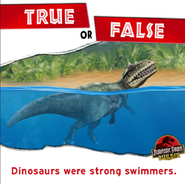 True or False Dinosaurs were strong swimmers