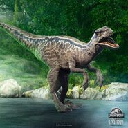 Blue alive.jpg (526 KB)