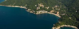 Mismaloya-viva s600x600.jpg
