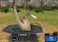 ColoborhynchusJWTG.png (1,49 МБ) 1-10 уровень