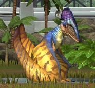 21-30 уровень