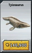 Tylosaurus card