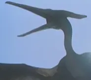 Pteranodon (début)