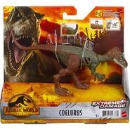 Coelurus