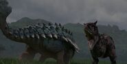 Bumpy vs Toro