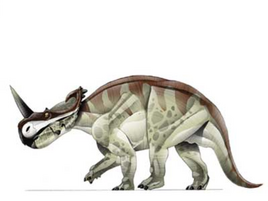 JPI Monoclonius