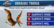 Darwinopterus Trivia