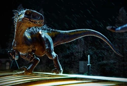 photo Indoraptor Images indoraptor jurassic park wiki fandom