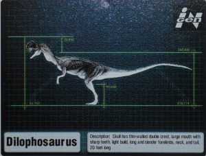 Dilo-profile-300x227.jpg