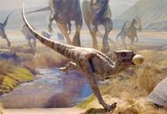 Dracorex 1
