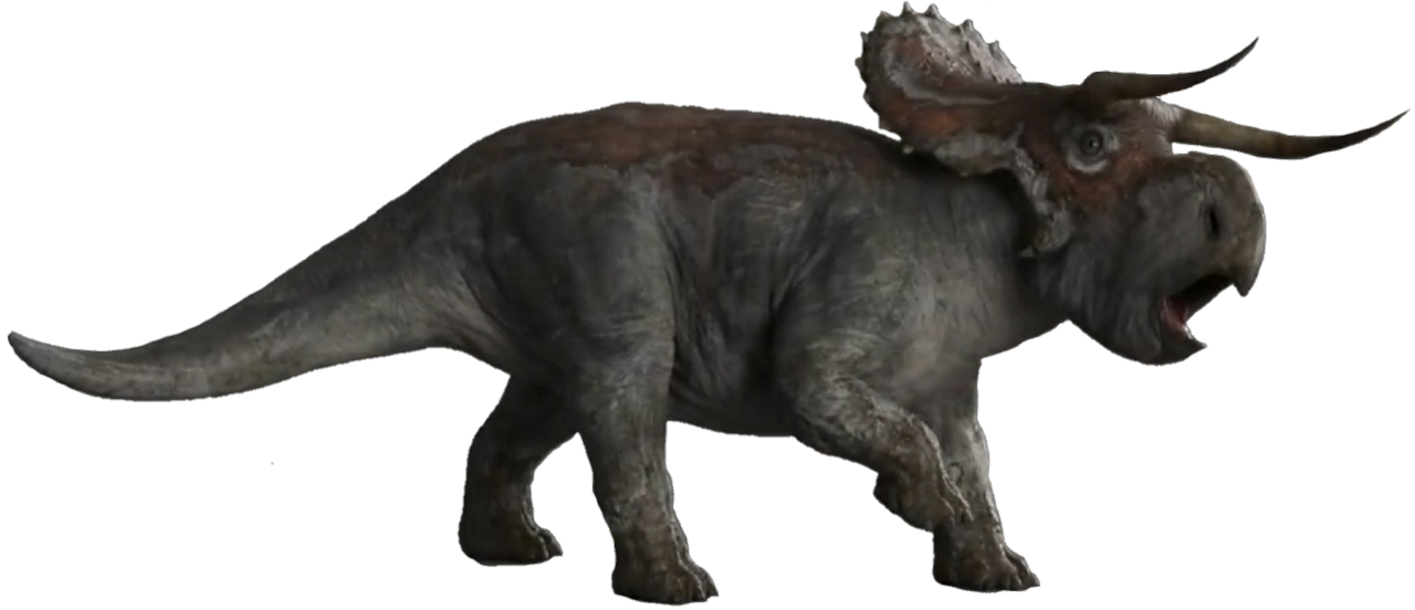 nasutuceratops