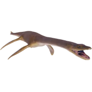 Plesiosaurus