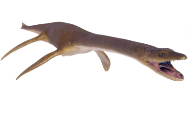 Figurine Dinosaure Mattel – Plesiosaurus – Jurassic World Park Dino Rivals