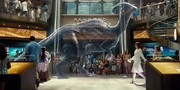 パラサウ ホロ