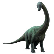 Apatosaurus JWA