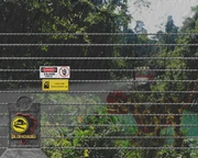 DilophosaurusPaddock