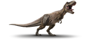 1440x651 0001 trex