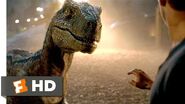 Jurassic World Fallen Kingdom (2018) - Goodbye, Blue Scene (9 10) Movieclips