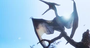 PteranoJPTLWPteranodon.png (1,85 MB)