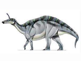 Tsintaosaurus
