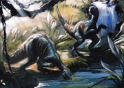 プシッタコ コンセプト