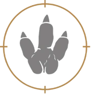 Carno.png (123 КБ) След карнотавра (DPG)