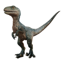 Velociraptor Movie Canon Gallery Jurassic Park Wiki Fandom Velociraptor Movie Canon Gallery Jurassic Park Wiki Fandom