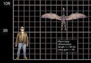 Baby Pteranodon size (JP III)