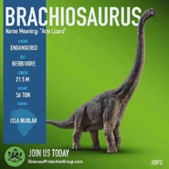 Cf687c714a29d3b9cc0ead62473fce39.jpg (53 КБ) Брахиозавр