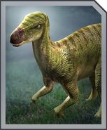 Iguanodon card